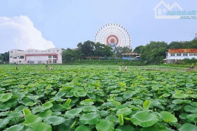 🔥🔥 Bán nhà Mặt Phố Nhật Chiêu  🏝 View Hồ Tây  🚘 2 mặt ngõ  ♦️ 75m2 - 3