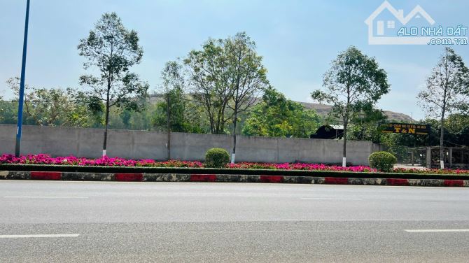 Lô đất quá đẹp 345m2(8x42) TL52 TT Đất Đỏ vừa ở vừa kinh doanh - 3