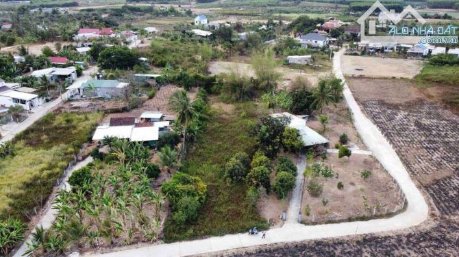 Đất  vườn Diên Đồng Diên khánh, gần sông, đất đẹp nở hậu. Giá 3ty9 bao thuế