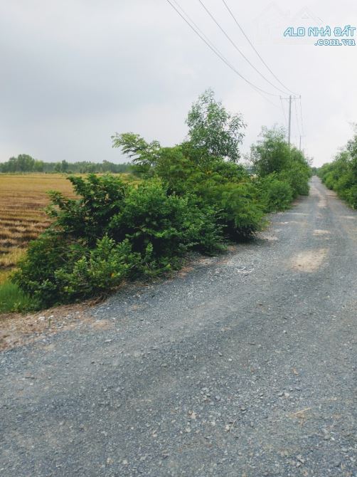 BÁN GẤP Đất No 103.000m2 Đức Hòa Long An Chỉ 2.6tr/1m2 - 3