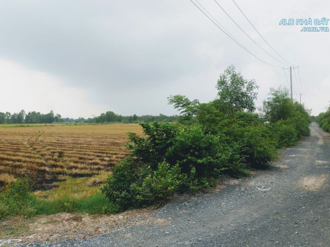 BÁN GẤP Đất No 103.000m2 Đức Hòa Long An Chỉ 2.6tr/1m2 - 4
