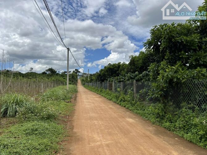 ✨ Vườn bơ + cà phê ngay trung tâm thị trấn: 10x63M (100M2 ODT), đường BÊ TÔNG 4M - 1,47 TỶ