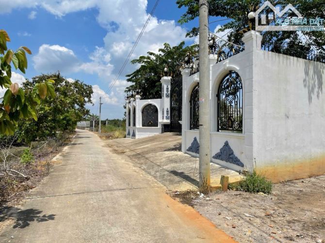 337m2 (6,1m x 56m) đất thổ , mặt tiền đường Kênh Giáp Mè, Xã Mỹ Lộc, giá rẻ chỉ 6 triệu/m2 - 1