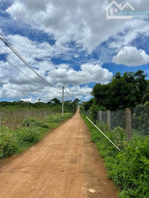 ✨ Vườn bơ + cà phê ngay trung tâm thị trấn: 10x63M (100M2 ODT), đường BÊ TÔNG 4M - 1,47 TỶ - 1