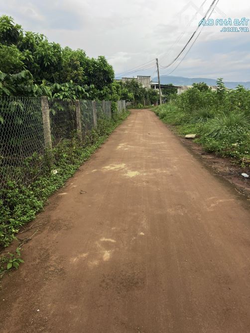 ✨ Vườn bơ + cà phê ngay trung tâm thị trấn: 10x63M (100M2 ODT), đường BÊ TÔNG 4M - 1,47 TỶ - 2