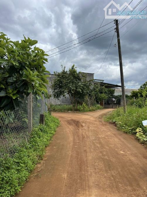 ✨ Vườn bơ + cà phê ngay trung tâm thị trấn: 10x63M (100M2 ODT), đường BÊ TÔNG 4M - 1,47 TỶ - 4