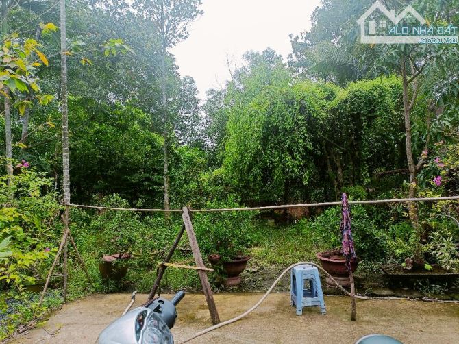 Bán Lô Đất Vuông Vức 580m² (32x18m) - Đường Nguyễn Xiển, P. Long Thạnh Mỹ, TP Thủ Đức - Gi - 5