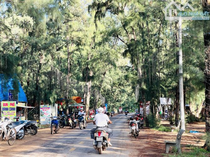 305M2, MẶT TIỀN ĐƯỜNG BÊ TÔNG, XE TẢI CHẠY TUNG TĂNG, RA KDL MŨI GÀNH - BÃI CON CHỈ 5 PHÚT - 3