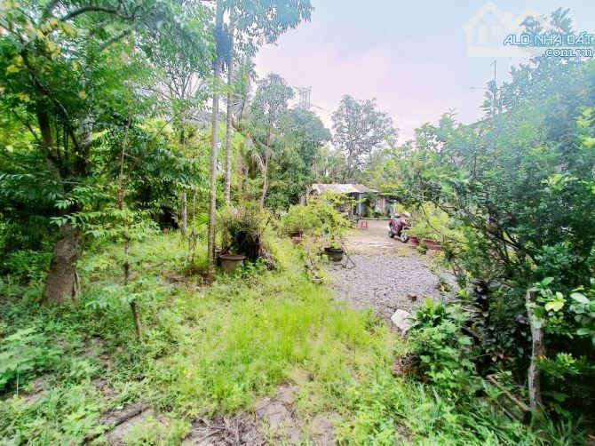 Bán Lô Đất Vuông Vức 580m² (32x18m) - Đường Nguyễn Xiển, P. Long Thạnh Mỹ, TP Thủ Đức - Gi - 7