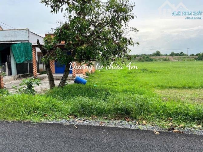 Bán đất thổ cư view kênh trung tâm xã Trung Lập Hạ Củ Chi TP HCM, DT: 55x35m. - 1