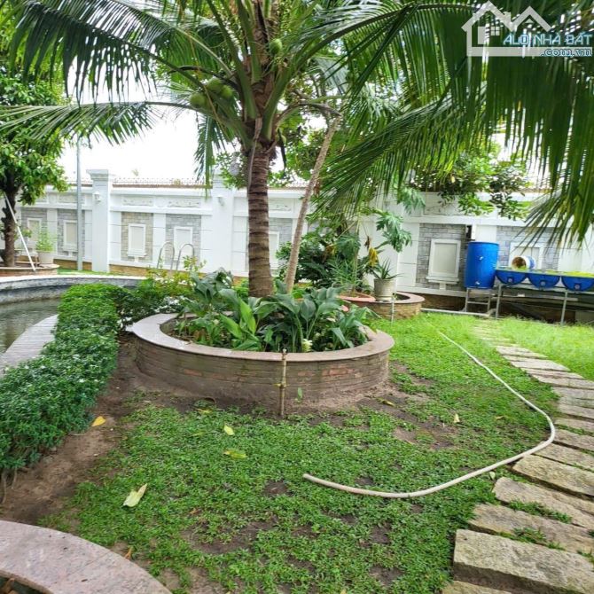 Biệt thự thiết kế phong cách châu âu nội thất cao cấp đường Trần Văn Giàu dt 20x80 - 1