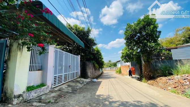 Hẻm 383 Nguyễn Văn Cừ phường Tân Lập (6,3x32m) -Vị trí . GIÁ TỐT !!! - 1