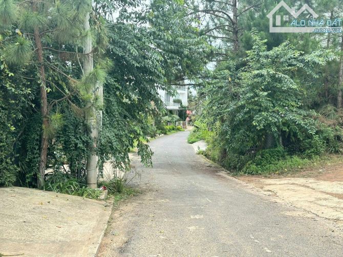 BÁN VILLA VIEW SIÊU ĐẸP - KQH VIỆN NGHIÊN CỨU HÙNG VƯƠNG - Ô TÔ VÀO TẬN NƠI - 2