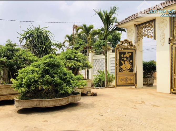 Hơn 3,5 sào đất phường Yên Thế - thích hợp xây nhà vườn, biệt thự