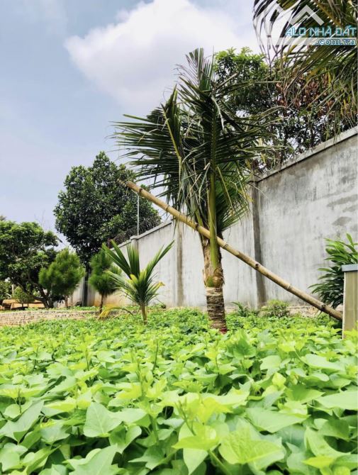 Hơn 3,5 sào đất phường Yên Thế - thích hợp xây nhà vườn, biệt thự - 1