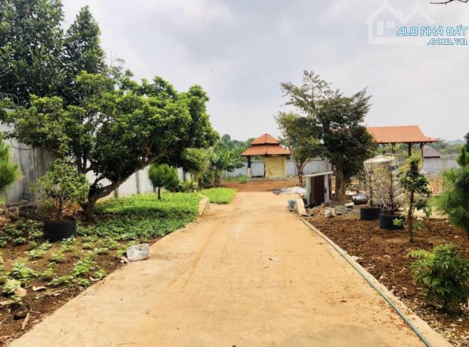 Hơn 3,5 sào đất phường Yên Thế - thích hợp xây nhà vườn, biệt thự - 2
