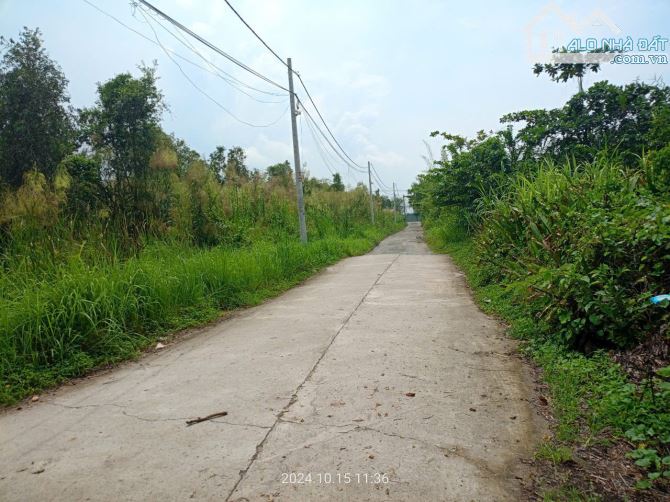 Bán đất hẻm đường Long Thuận p Long Phước Tp Thủ Đức - 2
