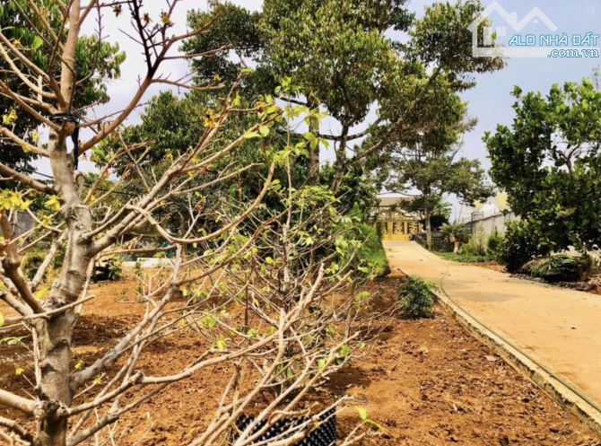 Hơn 3,5 sào đất phường Yên Thế - thích hợp xây nhà vườn, biệt thự - 3