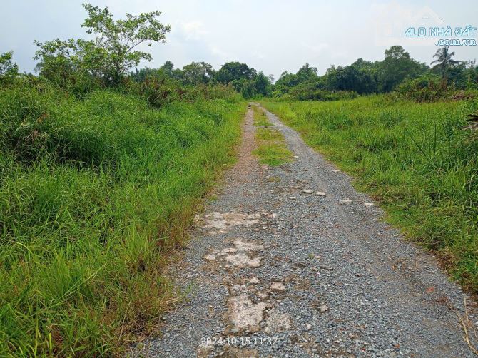 Bán đất hẻm đường Long Thuận p Long Phước Tp Thủ Đức - 3