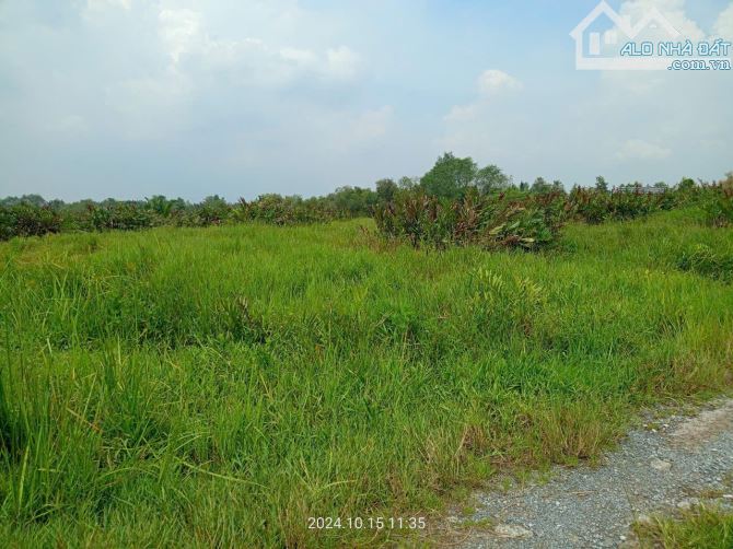 Bán đất hẻm đường Long Thuận p Long Phước Tp Thủ Đức - 4