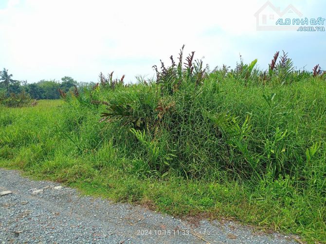 Bán đất hẻm đường Long Thuận p Long Phước Tp Thủ Đức - 6