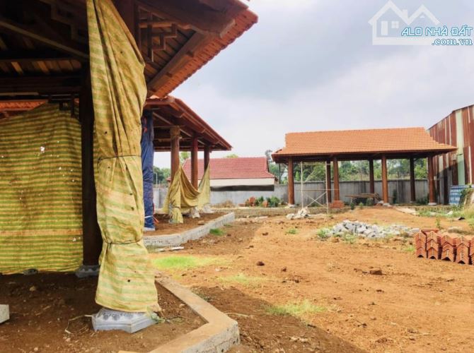 Hơn 3,5 sào đất phường Yên Thế - thích hợp xây nhà vườn, biệt thự - 7