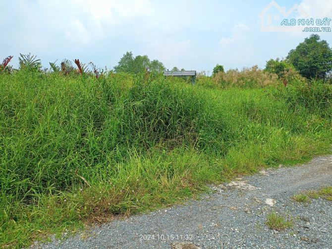 Bán đất hẻm đường Long Thuận p Long Phước Tp Thủ Đức - 7