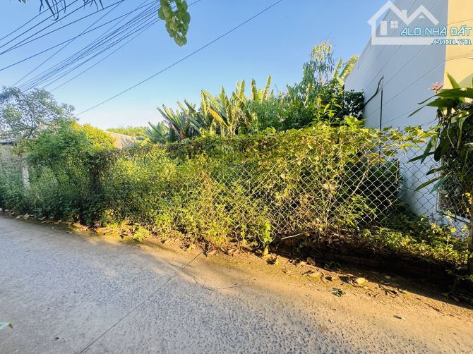 Bán Đất 10x10 Cách Đại Học Trà Vinh 2km - 1