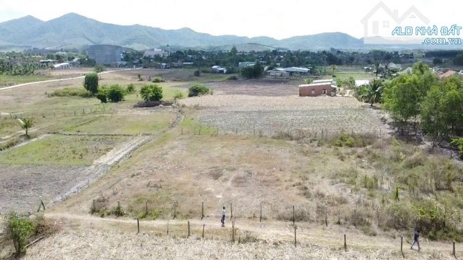 Hạ giá chủ bán gấp lô đất Ninh Thượng 636m2 ngang 18m, giá tốt chỉ 750 triệu