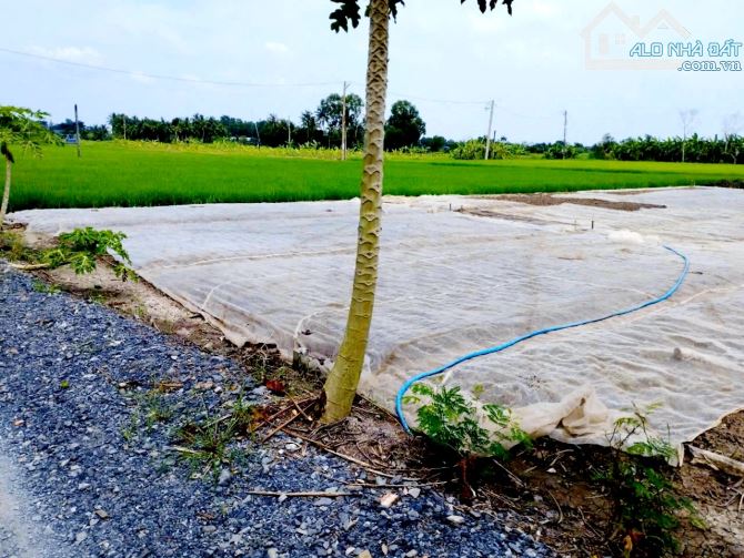 679m2 đất vườn đường ô tô bán nhanh 1ty550 quy hoạch thổ 291m2 Long Hòa- Cần Đước