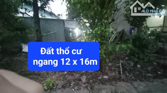 Bán Đất FULL THỔ CƯ- HXH Hồ Văn Long, Tân Tạo, Bình Tân, DT 176m2 - 11.5×16  Giá 6 tỷ TL.