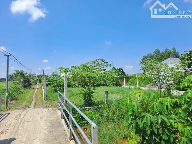 🏡 305M2 ĐẤT THỔ CƯ MẶT ĐƯỜNG, PHÙ HỢP XÂY NHÀ VƯỜN BIỆT THỰ 🍀 - 3