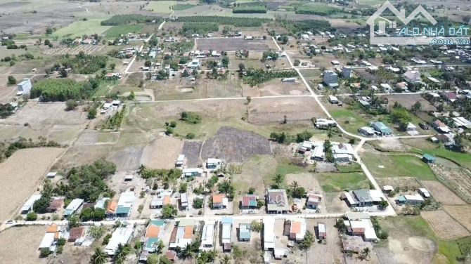 Hạ giá chủ bán gấp lô đất Ninh Thượng 636m2 ngang 18m, giá tốt chỉ 750 triệu - 3