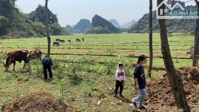 Bán khuôn viên nhà vườn tuyệt đẹp tại Hoà Bình - 5