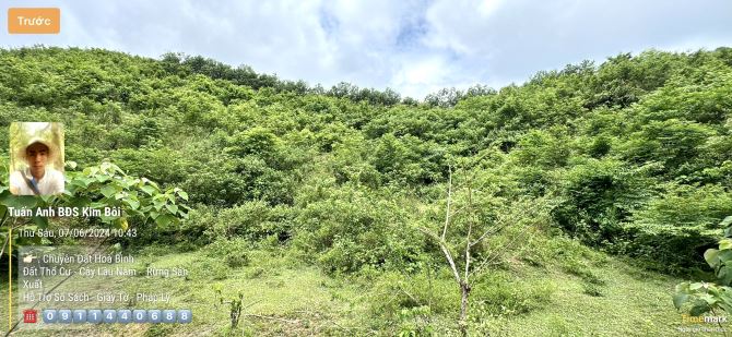 3.4 ha Rừng Sản Xuất Đẹp Bám Đường Nhựa 38m - Trong Đất Có Ao - Giá: 1.7 Tỷ - 1