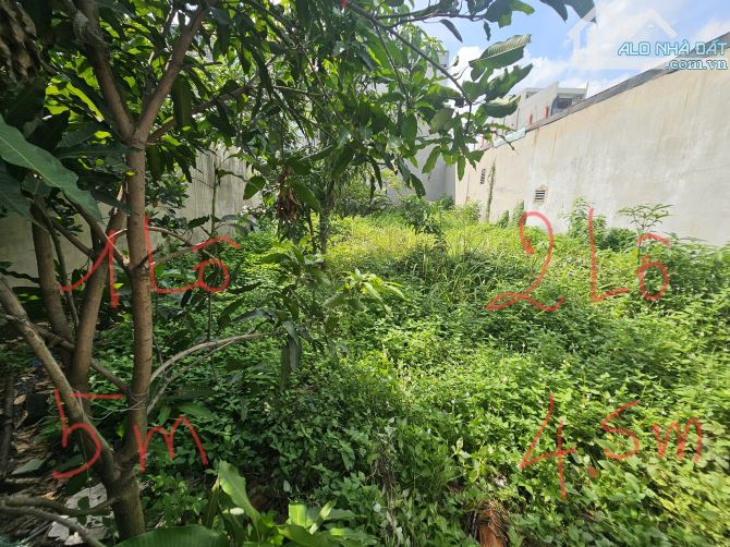 Bán đất an phú đông Quận 12 giá 3 tỷ 200 triệu - 1