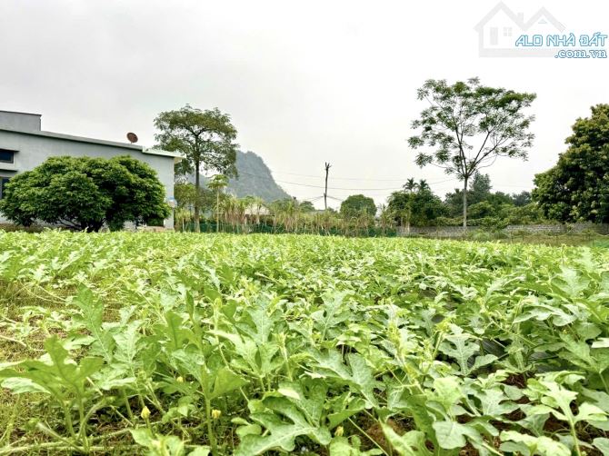 1000m Đất Bằng Phẳng - Lưng Tựa Núi - Gần Khoáng Nóng ( 600 Triệu ) - 2