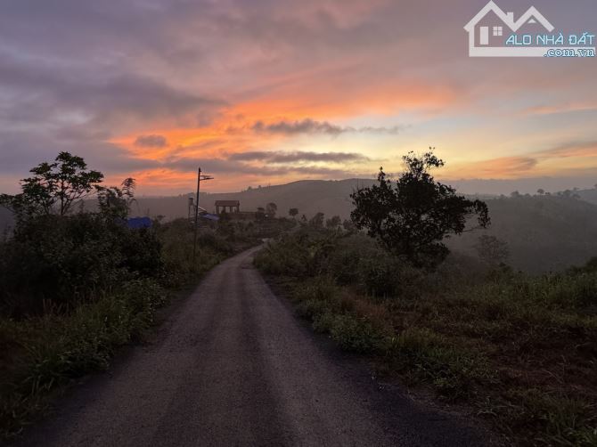 Không người trông coi nên hạ giá bán lỗ 3 tỷ homestay đẹp như tranh tại Bảo Lộc - 2