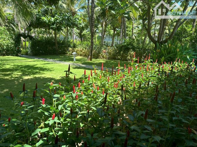 Chủ bán biệt thự Premier Village Resort  Đà Nẵng. Giá bán 3x tỷ HD thuê 1,2 tỷ/năm - 4