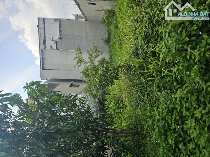 Bán đất an phú đông Quận 12 giá 3 tỷ 200 triệu - 5