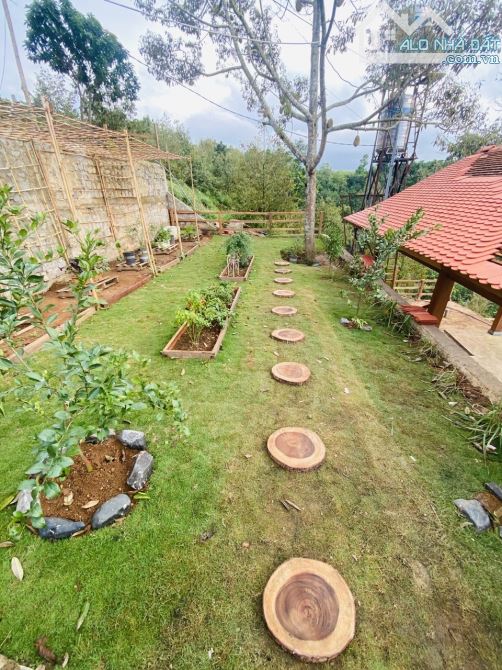 Không người trông coi nên hạ giá bán lỗ 3 tỷ homestay đẹp như tranh tại Bảo Lộc - 8