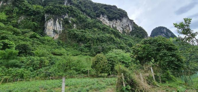 Bán đất xã Tân Vinh, thị trấn Lương Sơn, tỉnh Hoà Bình 1000m2 view núi đá đẹp giá rẻ