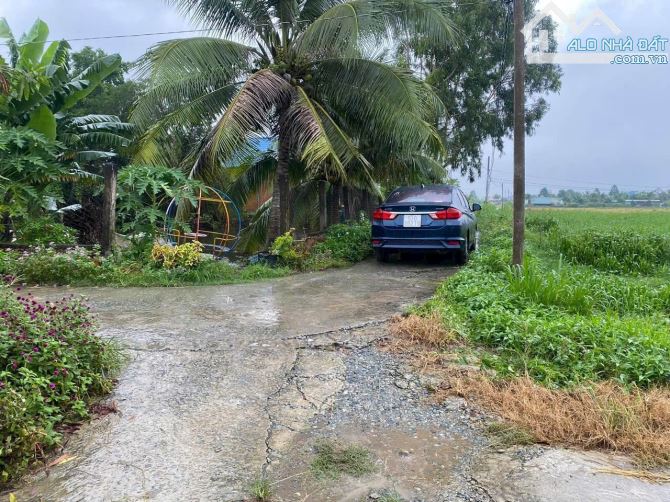 1398m2 đất lúa 450 triệu/1000m2 3 mặt tiền ôtô đức tân tân trụ Long An