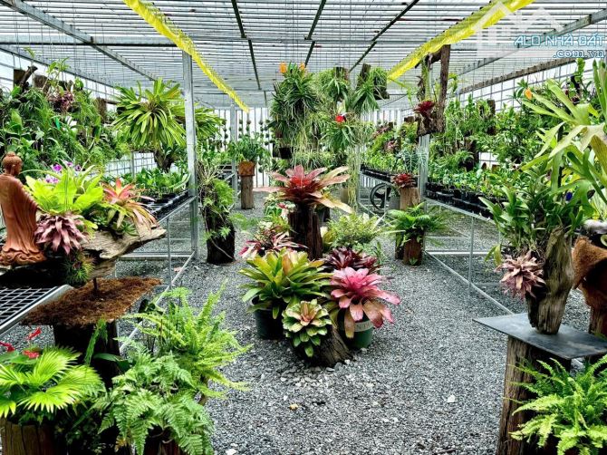 Mặt tiền Nguyễn Văn Cừ (khu biệt thự Cồn Khương), DT: 20m x 41.76m= 835m2, giá: 55 tỷ - 2