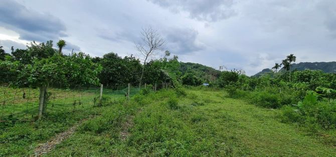 Bán đất xã Tân Vinh, thị trấn Lương Sơn, tỉnh Hoà Bình 1000m2 view núi đá đẹp giá rẻ - 1