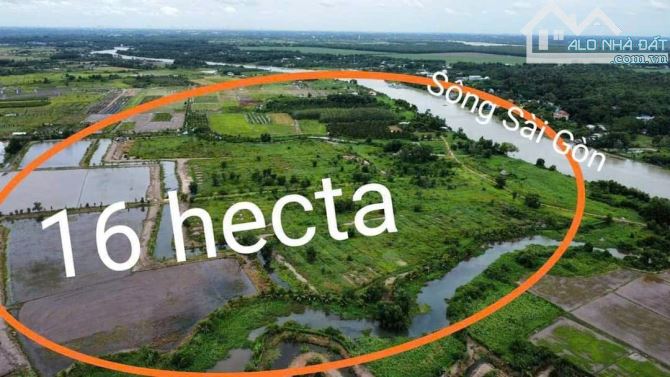 Chuyển Nhượng 16HA Đất QH ODT P.An Tây, TP.Bến Cát,Bình Dương - 1