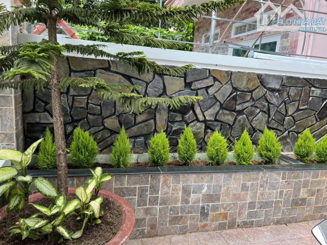Bán Villa Hai Mặt Tiền Lõi Trung Tâm Đường Sương Nguyệt Ánh Cách Hồ Xuân Hương 200m - 1