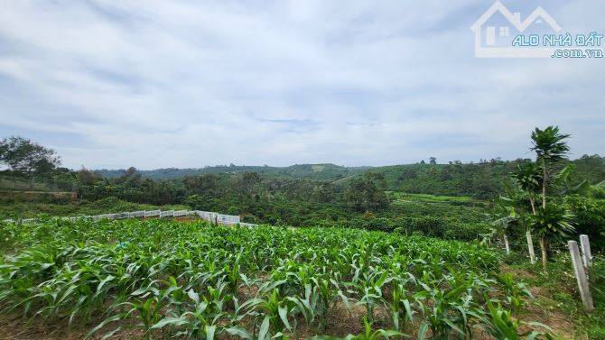 Bán đất Bảo Lộc.DT 1546m2 (có thổ cư).Cách QL.20 chỉ 1,8km.View siêu đỉnh.Hạ Giá Shock - 2