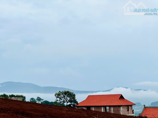 Cần Bán Lô Đất Đẹp - Đầu Tư Siêu Lợi Nhuận Cho Khách Hàng Tại Thị  Trấn Nam Ban - 1