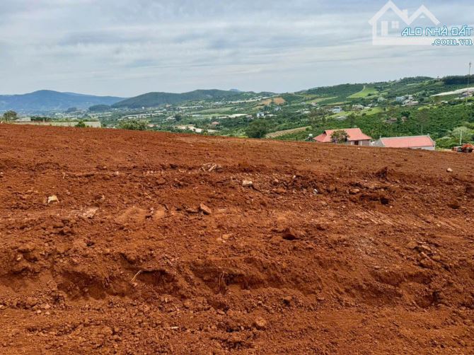 [ĐẤT VEN ĐÀ LẠT] SHR 344m2 , đất thổ cư tại Thị trấn Nam Ban. View nghỉ dưỡng & F0 đầu tư - 3